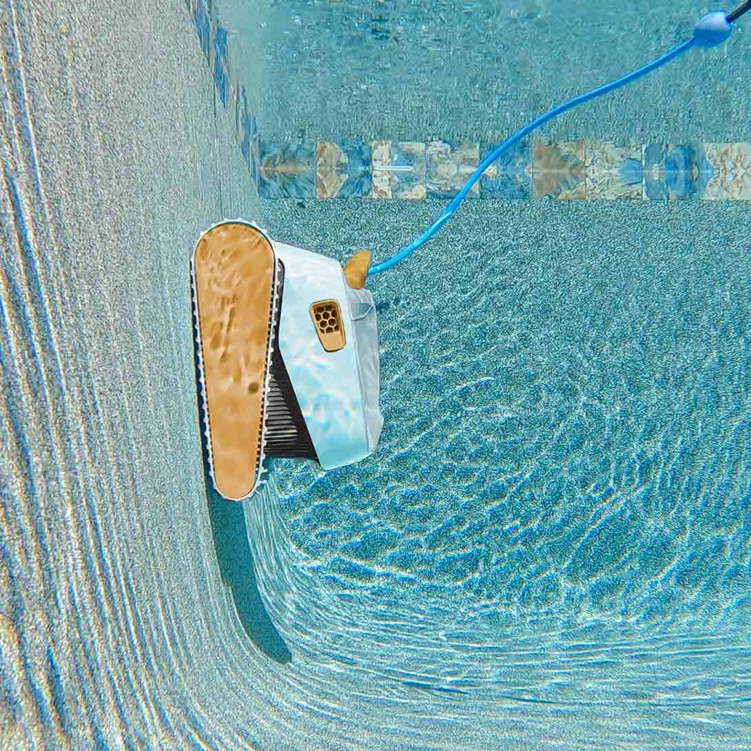 LIMPIAFONDO DOLPHIN HAMMER PLUS ZB - Piscinas Merchan